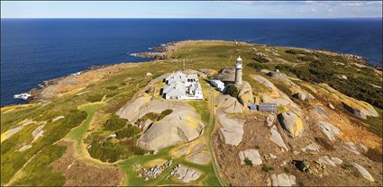 Montague Island - NSW T (PBH4 00 9640)
